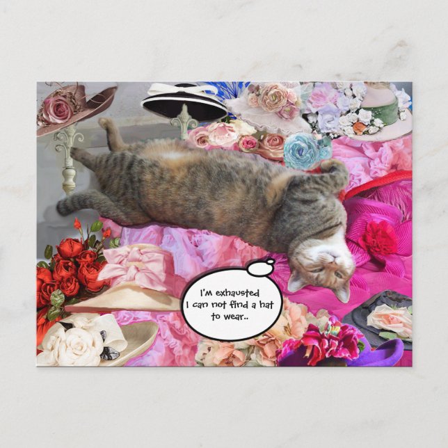 Dilemma der Prinzessin Tatus Cat Postkarte (Vorderseite)