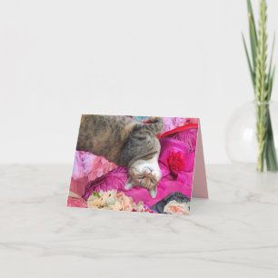 Dilemma von Prinzessin Tatus Katze Karte