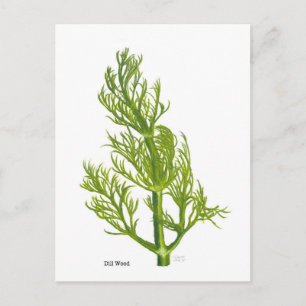 Dill Art Postkarte