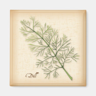 Dill Herb, Dill Weed Magnet