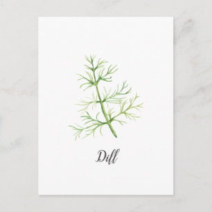 Dill Herb Watercolor Illustration Postkarte