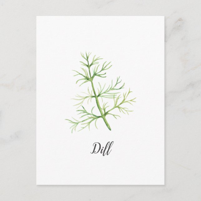 Dill Herb Watercolor Illustration Postkarte (Vorderseite)
