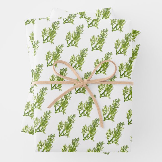 Dill Kunst Geschenkpapier Set (Beispiel)