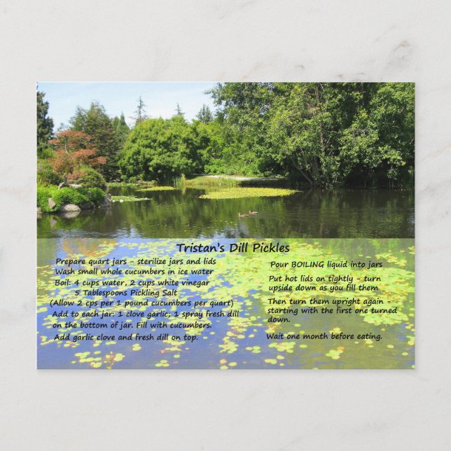 Dill Pickle Rezept Postkarte (Vorderseite)