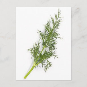 Dill Weed Postkarte