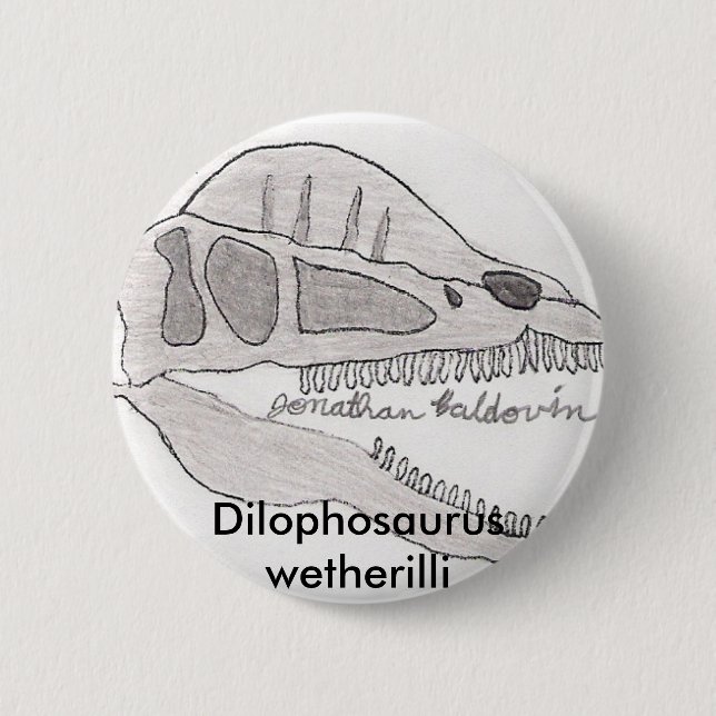 Dilophosaurusknopf Button (Vorderseite)