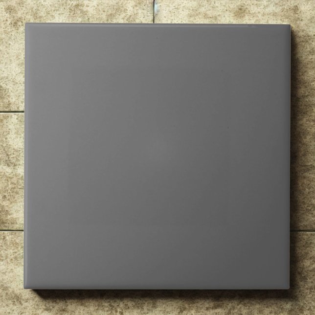 Dim Gray Chic Modernes Interieur Akzent Fliese (Von Creator hochgeladen)
