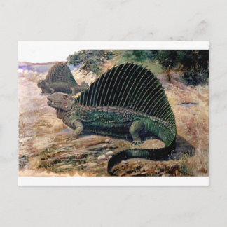 Dimetrodon-1 Postkarte