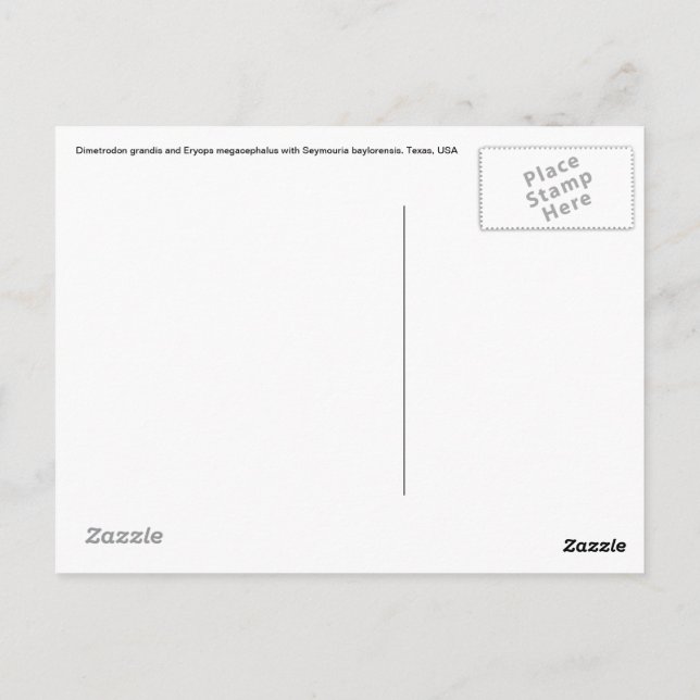 Dimetrodon-Postkarte Postkarte (Rückseite)