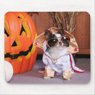 Ding - Chihuahua - Thomas Mousepad