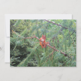 Ding in There Feiertagskarte