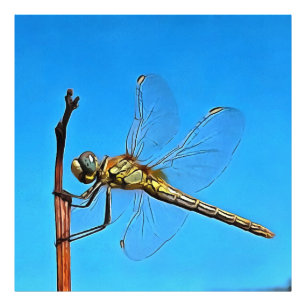 Ding on it Artistic Dragonfly Fotodruck