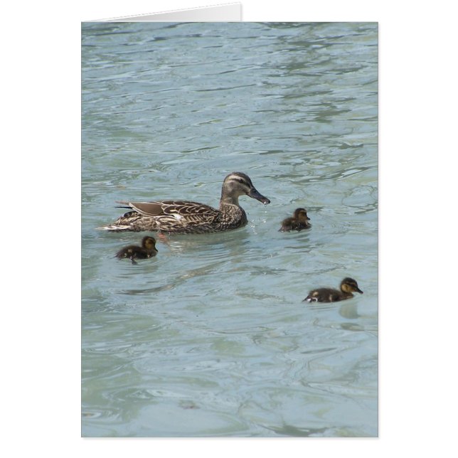 Dinge, die schweben (Vorne)