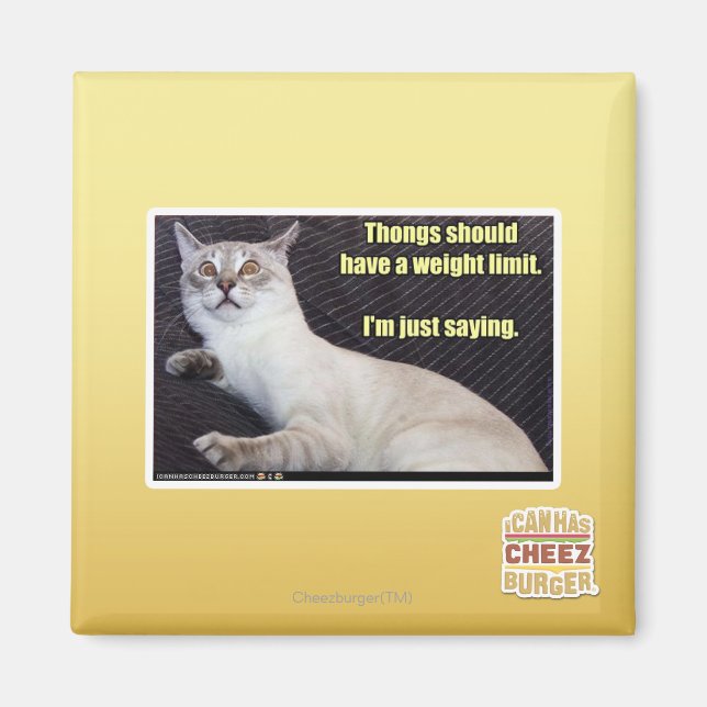 Dinge sollten eine Gewichtsgrenze haben. Magnet (Vorne)