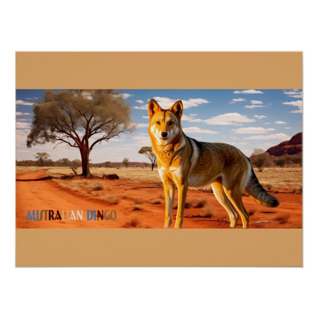 Dingo Wild Australian Dog Poster (Vorderseite)
