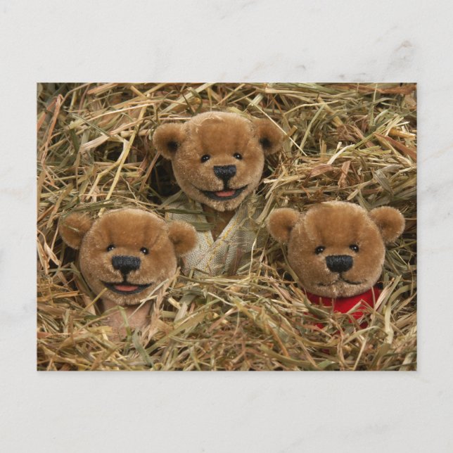 Dinky Bears: Bauer Kids Postkarte (Vorderseite)