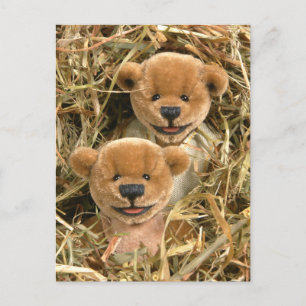 Dinky Bears Bauer Kinder Postkarte