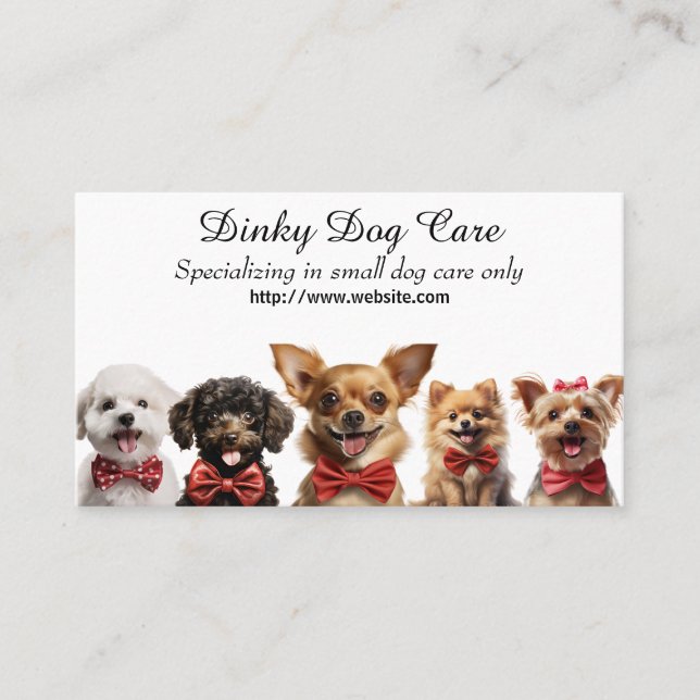 Dinky Dog Care Visitenkarte (Vorderseite)