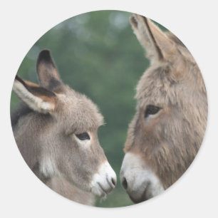 Dinky Esel Runder Aufkleber