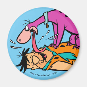 Dino Licking Fred Flintstone Magnet