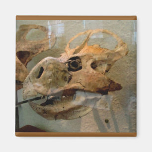 Dino Skull Ölgemälde Magnet