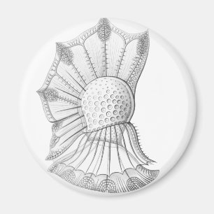 Dinoflagellate Magnet