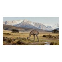 Dinornis robustus – Südinsel-Riesenmoa