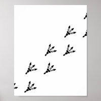 Dinosaur Abgeschieden Footprint Trail