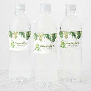 Dinosaur Baby Dusche Wasserflaschenetikett