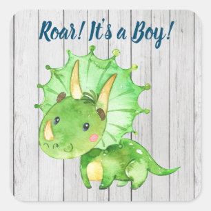 Dinosaur-Baby-Shower-Aufkleber Quadratischer Aufkleber