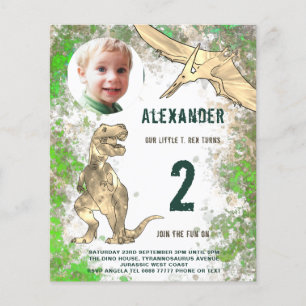 Dinosaur Birthday Party Budget Flyer