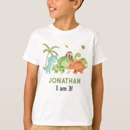 Dinosaur Boy Birthday Tshirts - Matching Kid Party