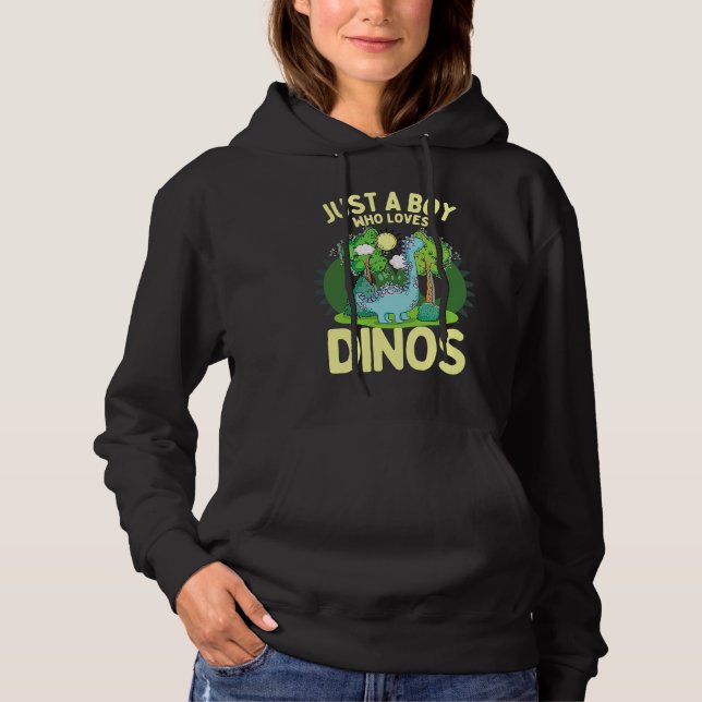 Dinosaur Dino Just A Boy Who Loves Dinosaurs Dinos Hoodie (Vorderseite)