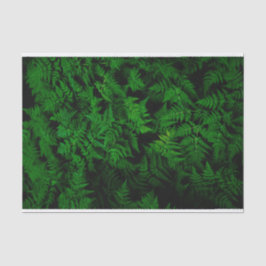 Dinosaur Forest Seidenpapier