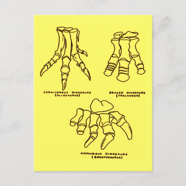 Dinosaur-Fußknochen Postkarte (Vorderseite)