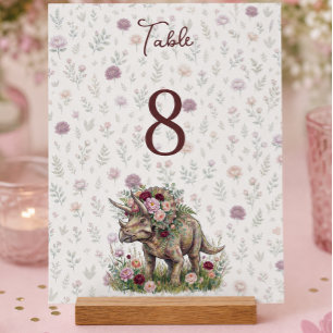 Dinosaur Geburtstag für Mädchen Acrylschild