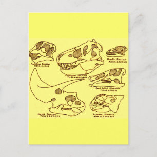 Dinosaur-Schädel Postkarte