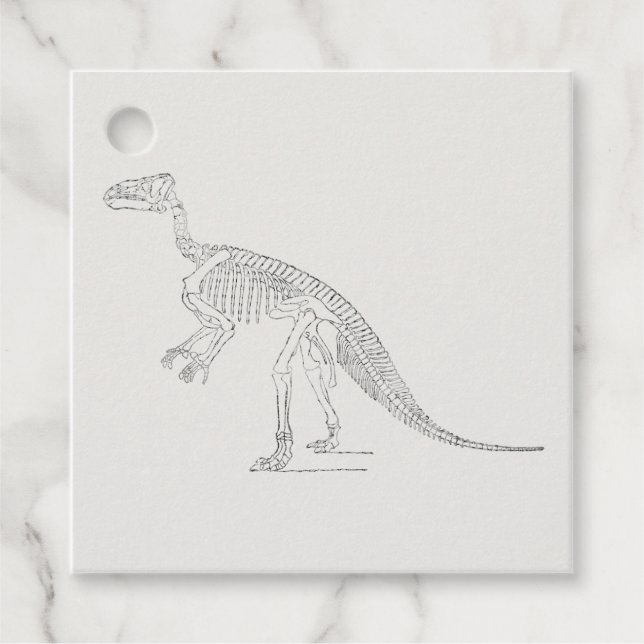Dinosaur Skeleton Art Geschenkanhänger (Vorderseite)