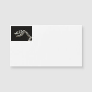 Dinosaur Skeleton Business Cards Magnetkarte