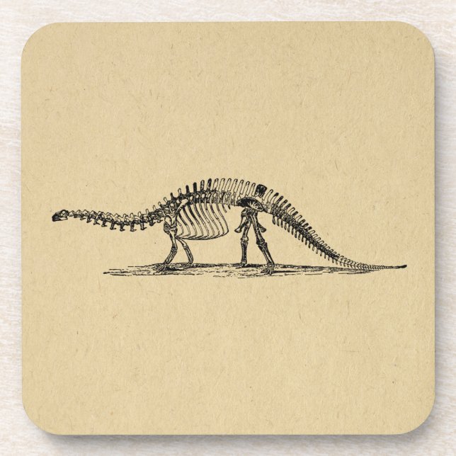 Dinosaur Skeleton Vintag Art Getränkeuntersetzer (Vorderseite)