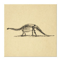 Dinosaur Skeleton Vintag Art