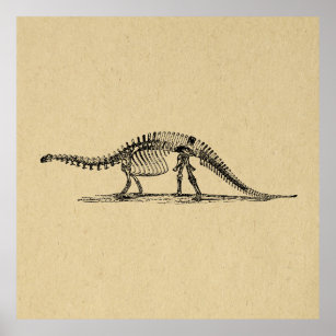 Dinosaur Skeleton Vintag Art Poster
