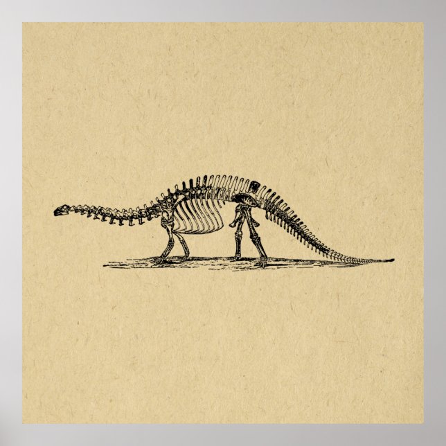 Dinosaur Skeleton Vintag Art Poster (Vorne)