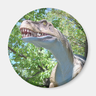 Dinosaur T-Rex Magnet