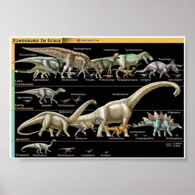 Dinosaur Timeline Biology Poster (Vorne)