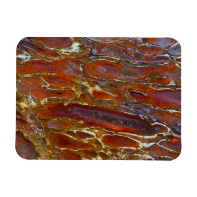 Dinosaur versteinerten Bone Magnet (Horizontal)