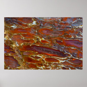 Dinosaur versteinerten Bone Poster