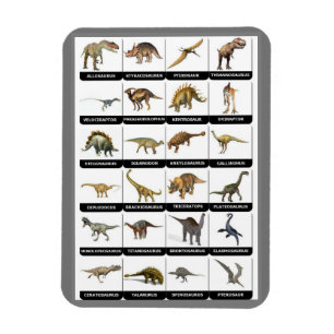 Dinosaurier Chart Magnet