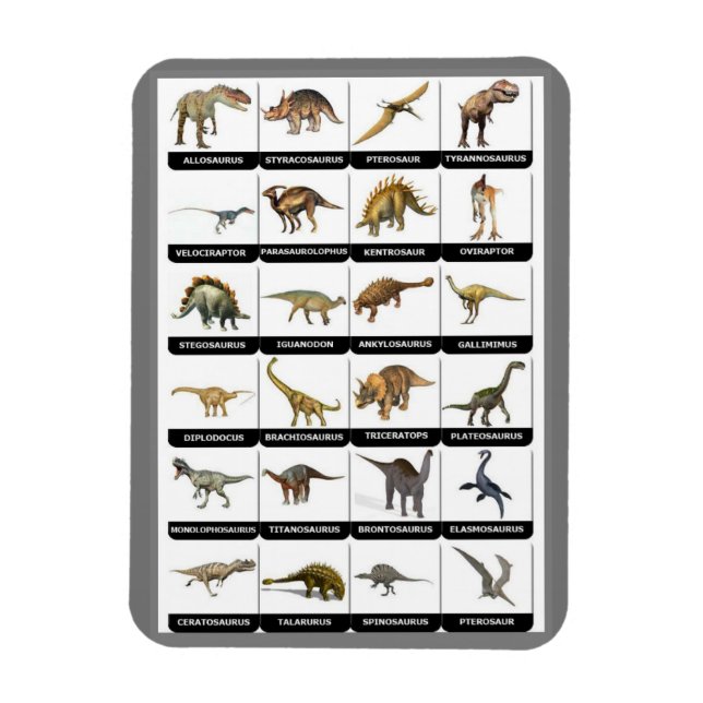 Dinosaurier Chart Magnet (Vertikal)