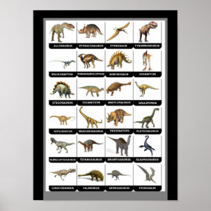 Dinosaurier Chart Poster